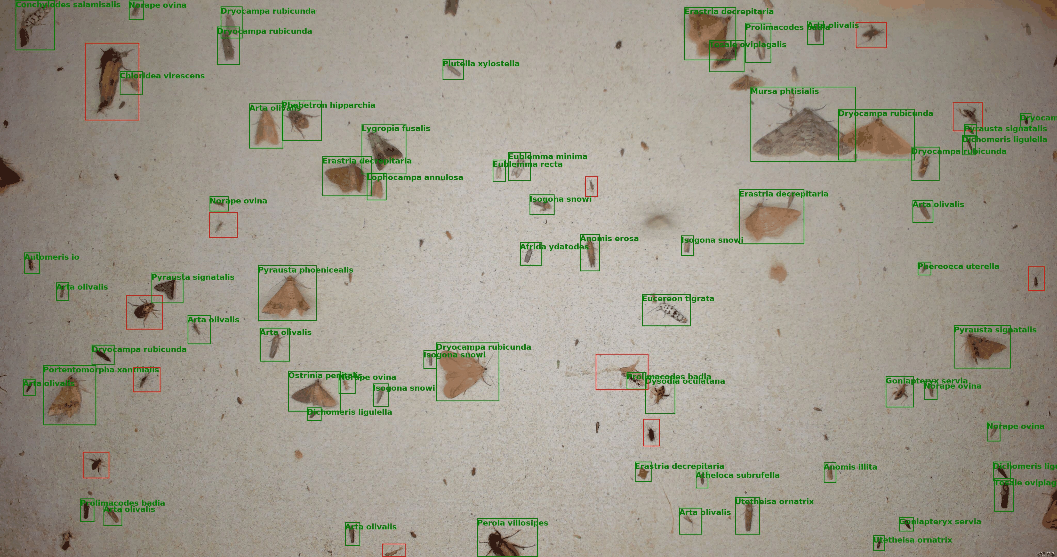 Machine Learning Analysis